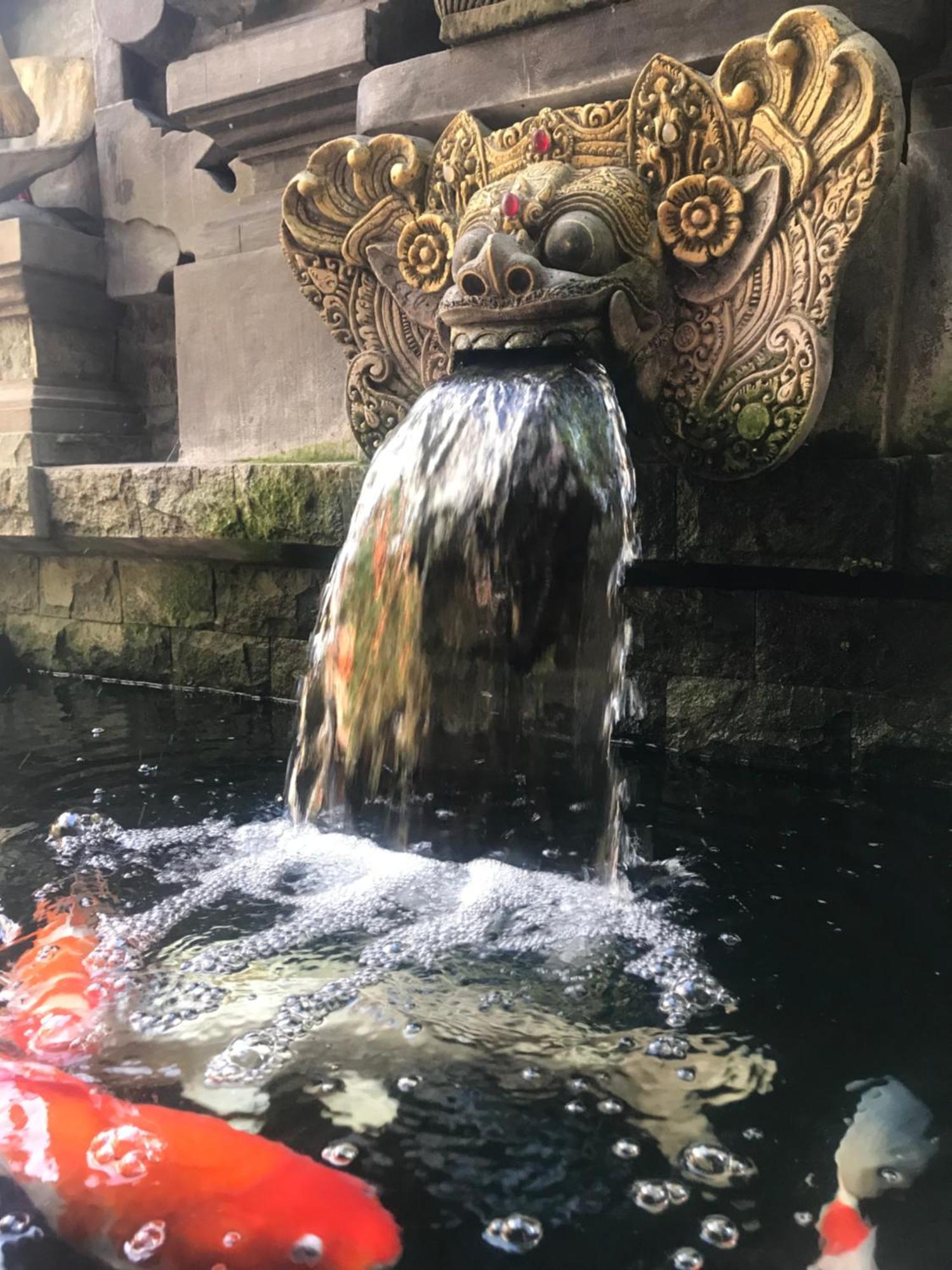 Banana Home Stay Ubud エクステリア 写真