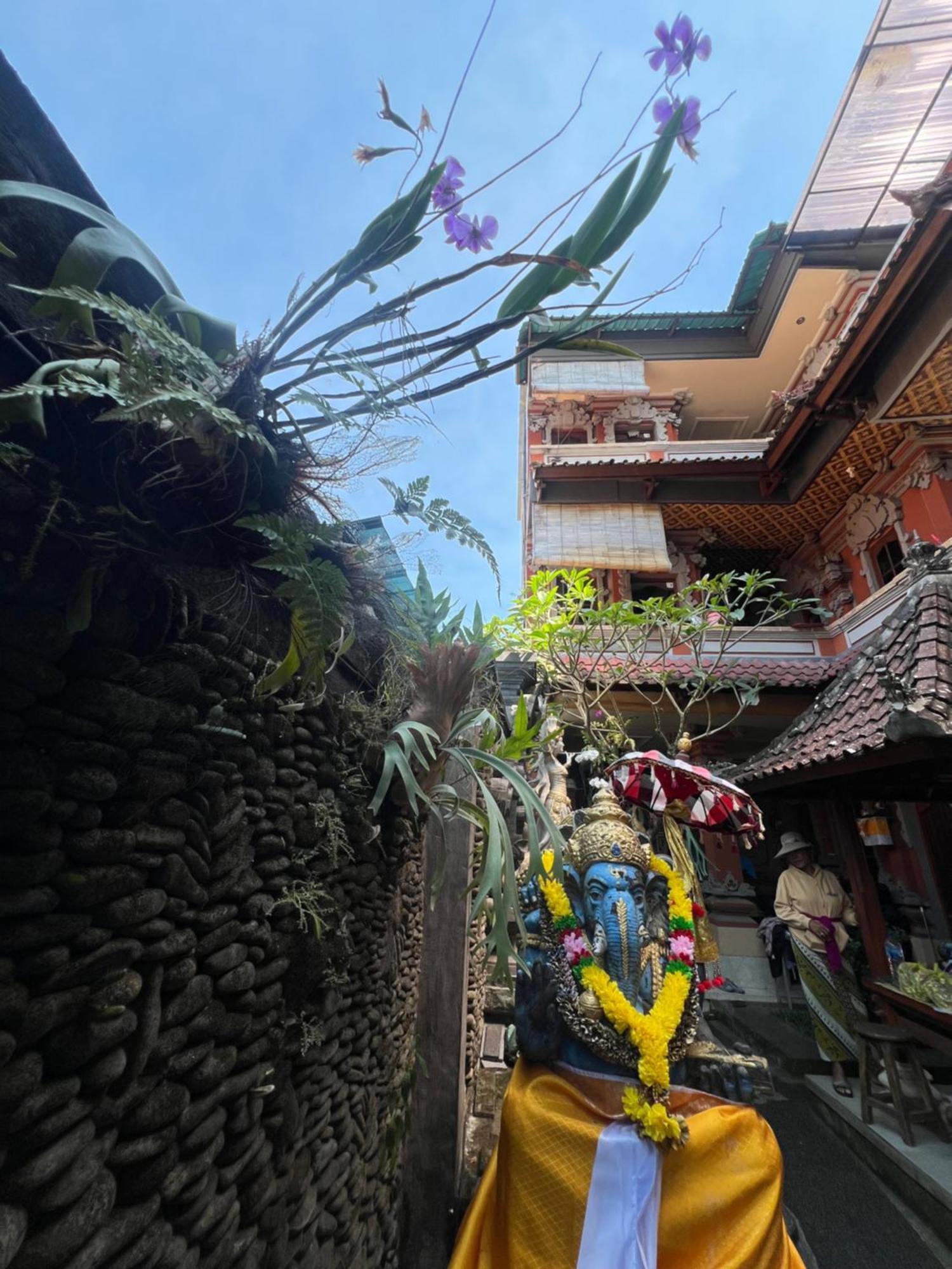 Banana Home Stay Ubud エクステリア 写真